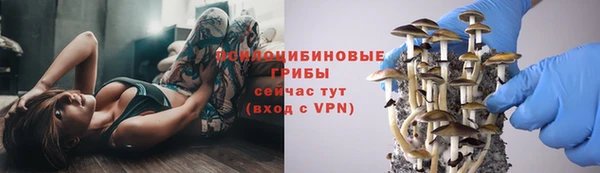 гидра Козельск