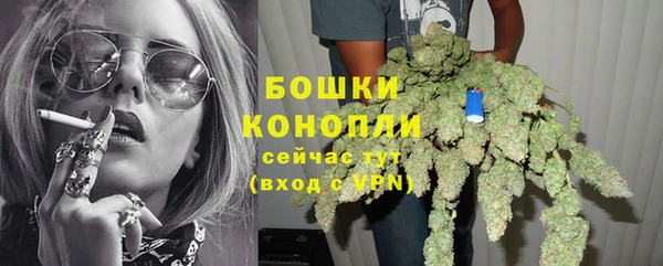 гидра Козельск