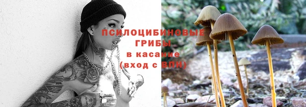 метадон Козловка
